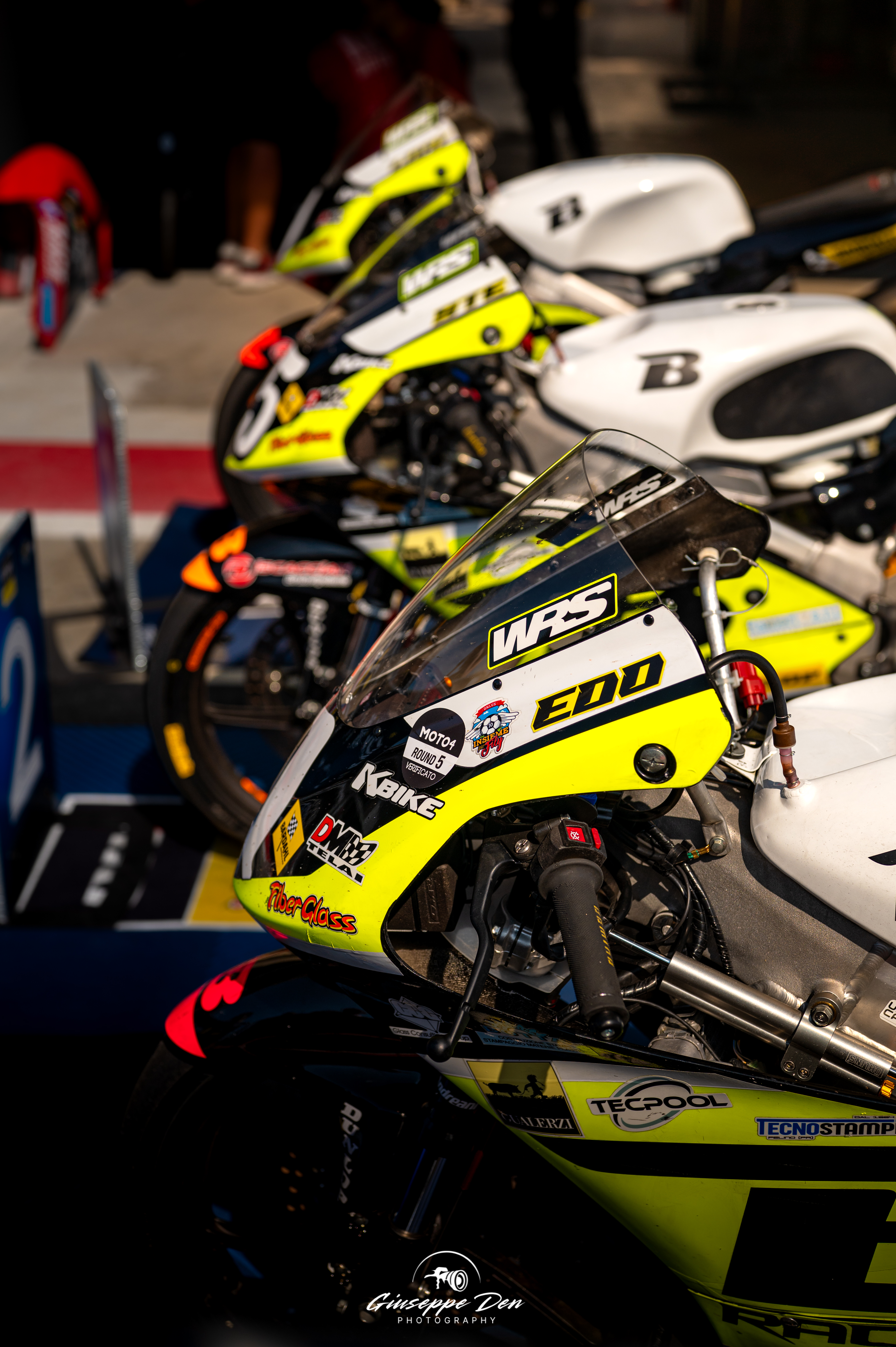 Paddock portrait